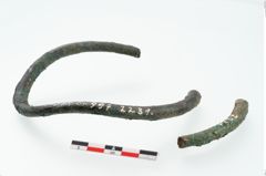 Foto von Bronzefußring (NHMW-PRAE-002231)